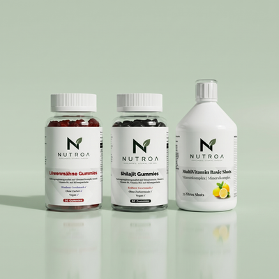 Energie & Fokus Bundle